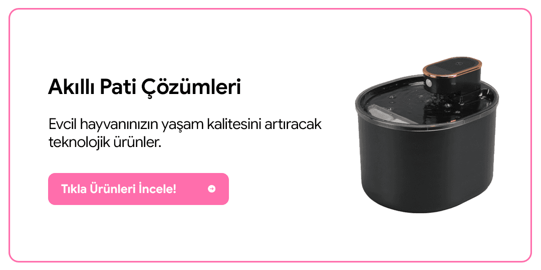Kedi kampanyası