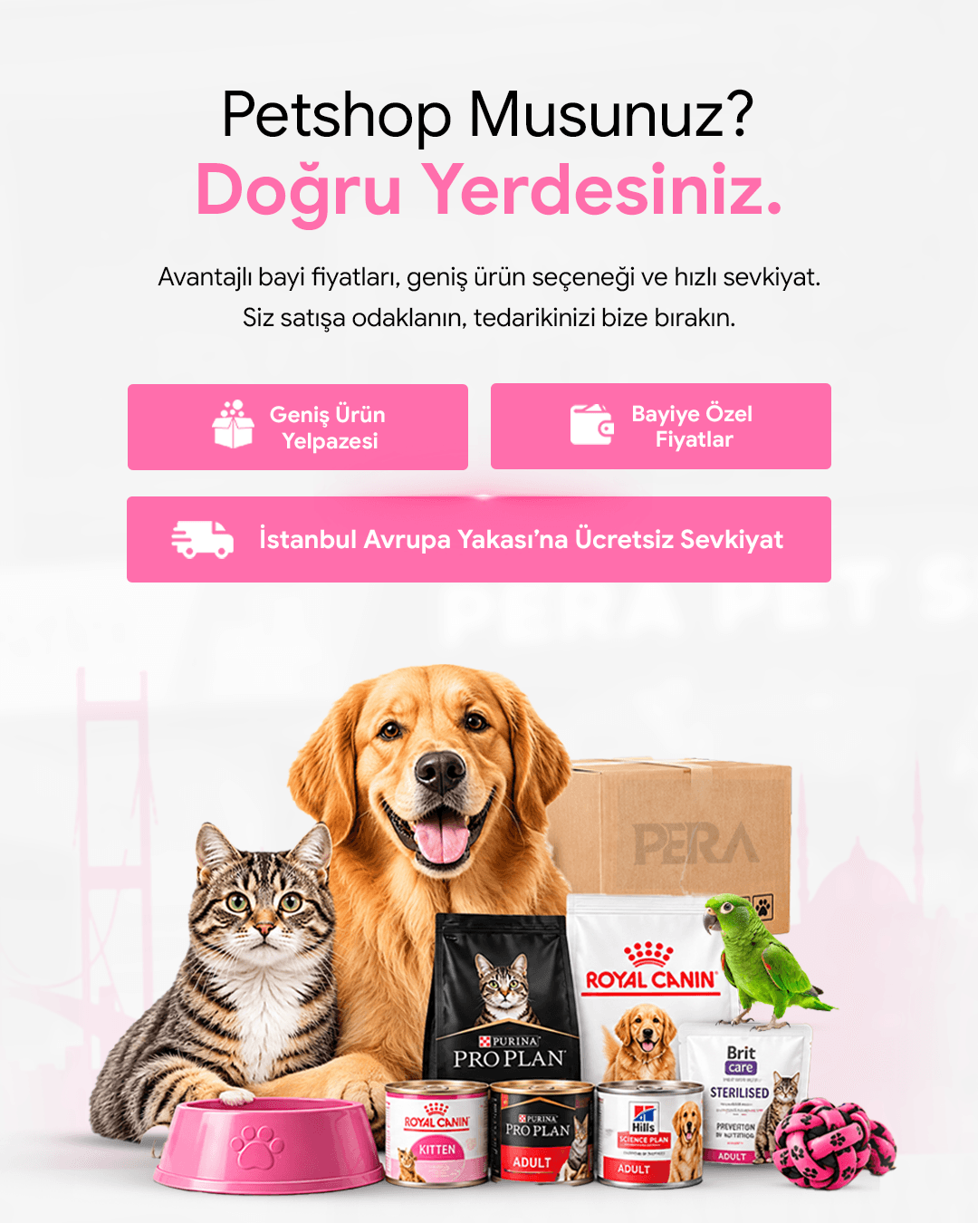 Ever Clean kedi kumu kampanyası
