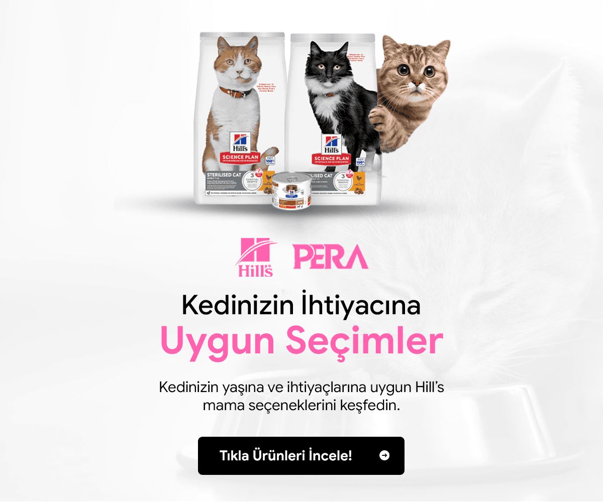 Gezdirme ürünleri