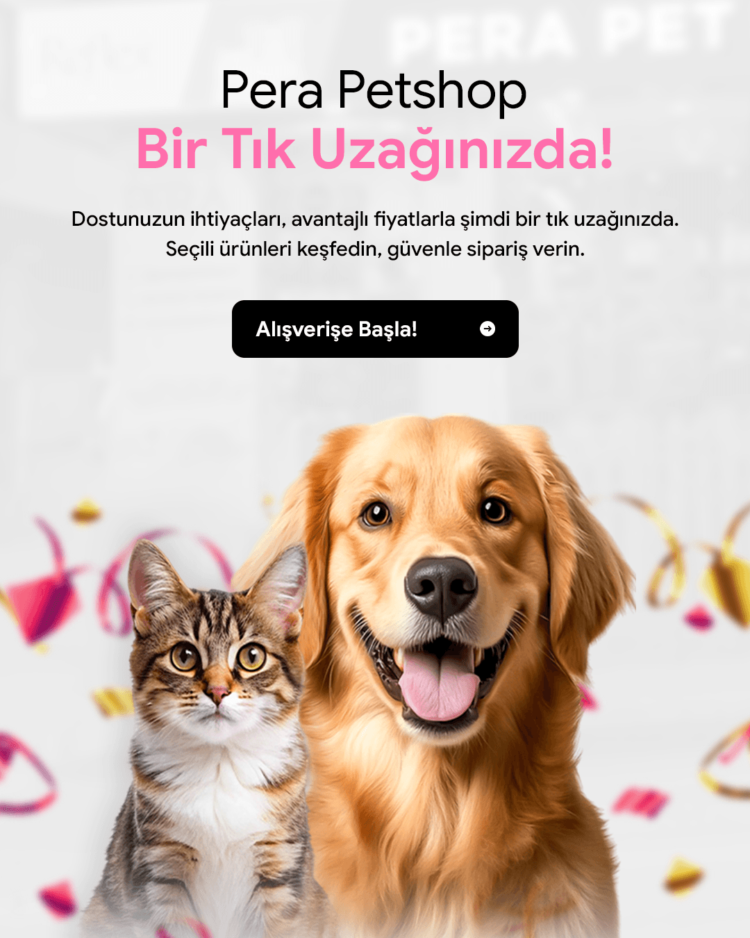 Ev kedisi için indoor mama kampanyası