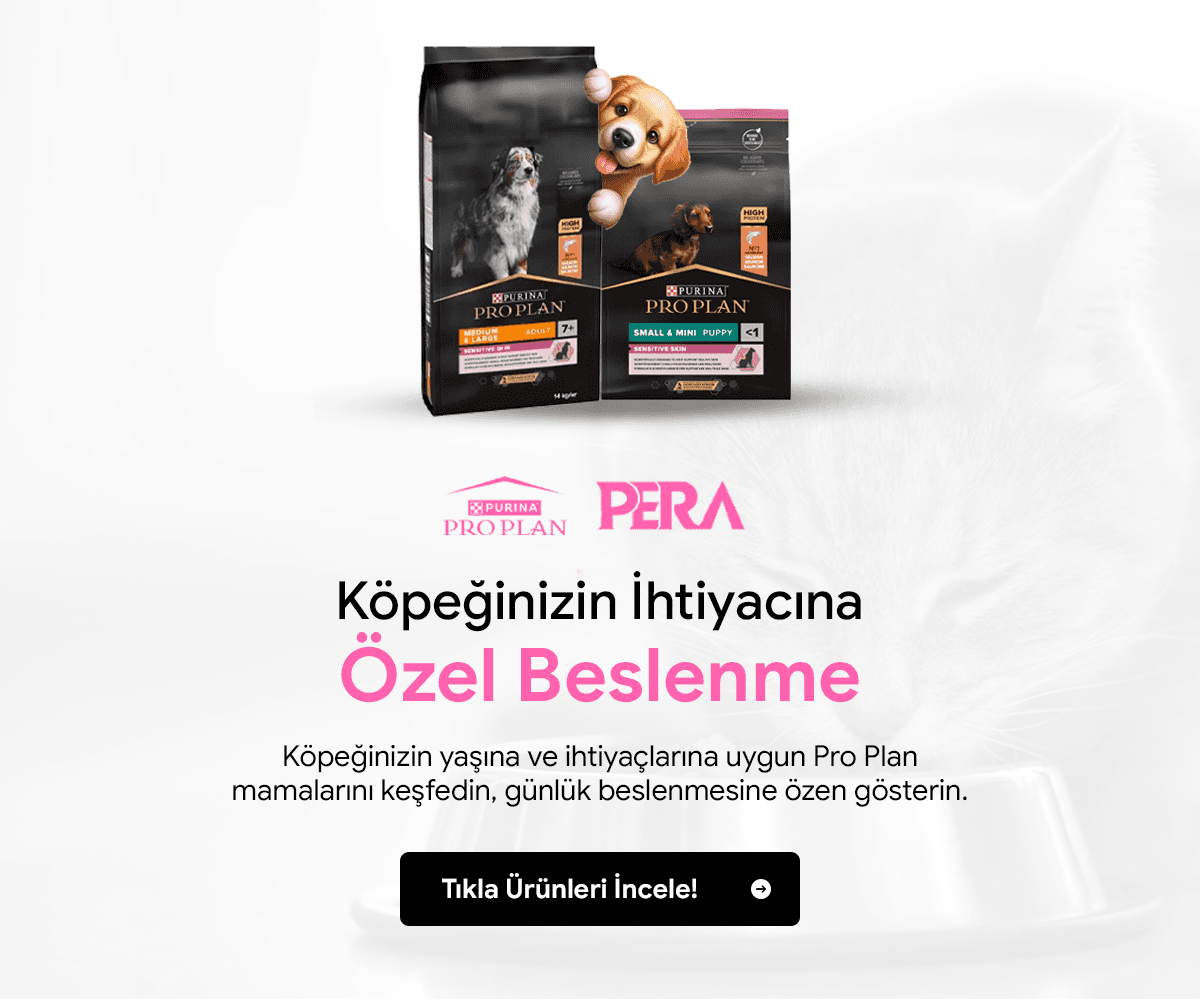 Yeni banner