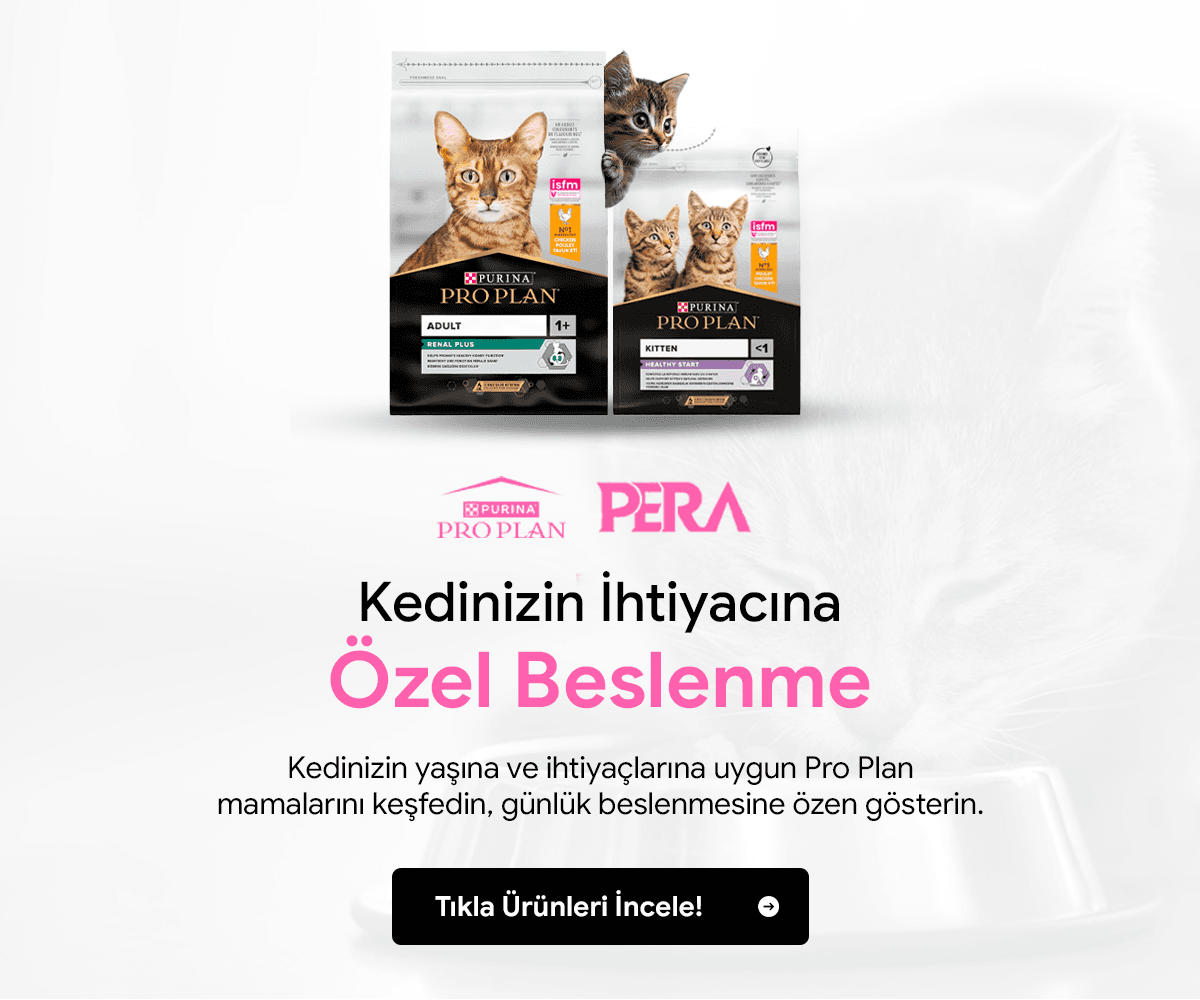 Yeni banner