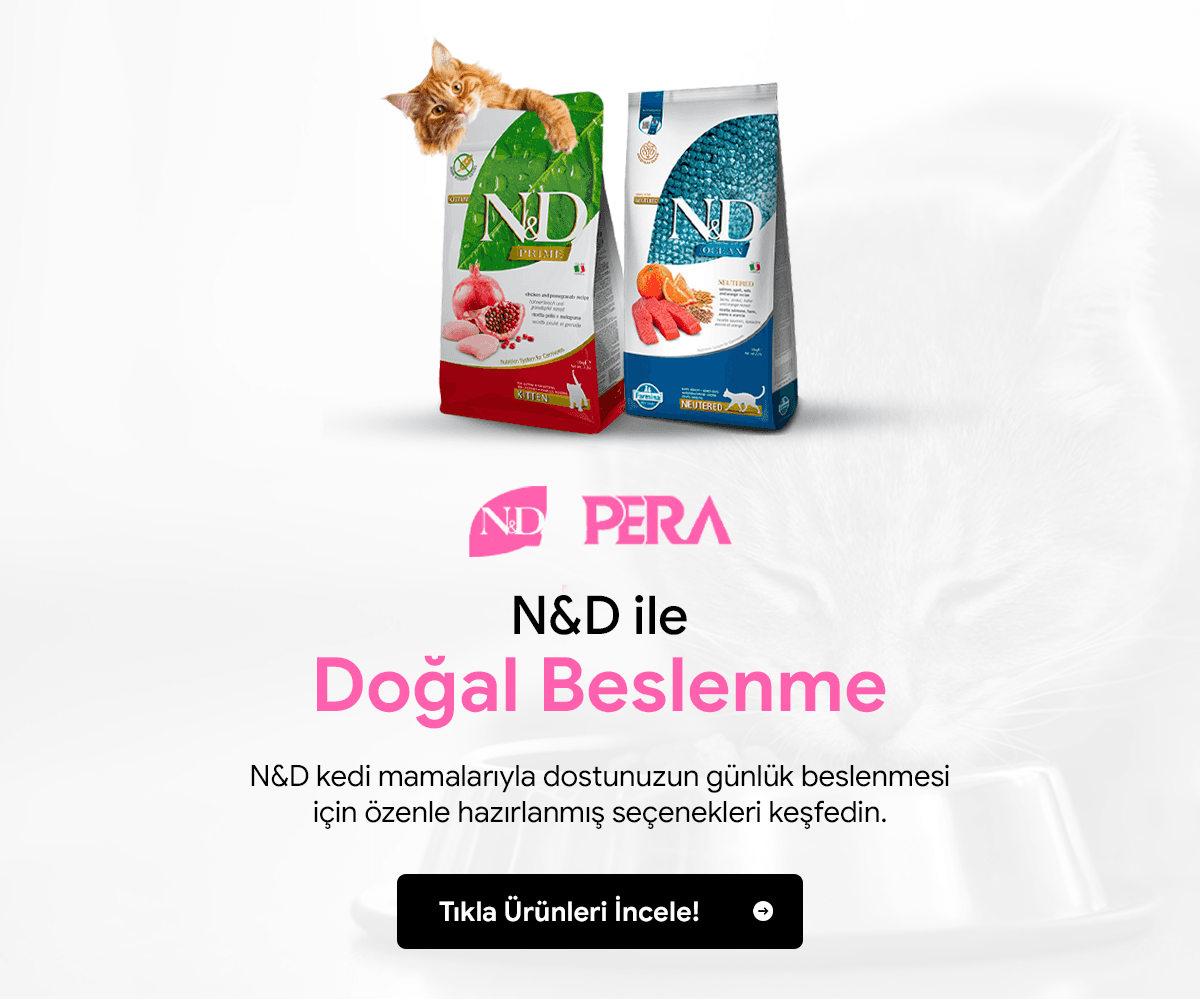 nd kedi
