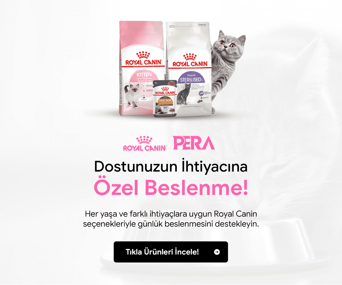 Yaş mama