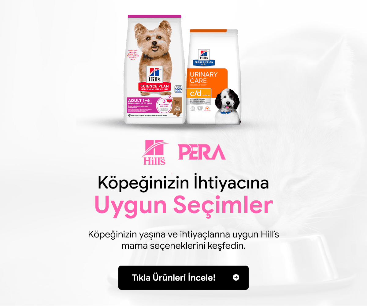 Yeni banner