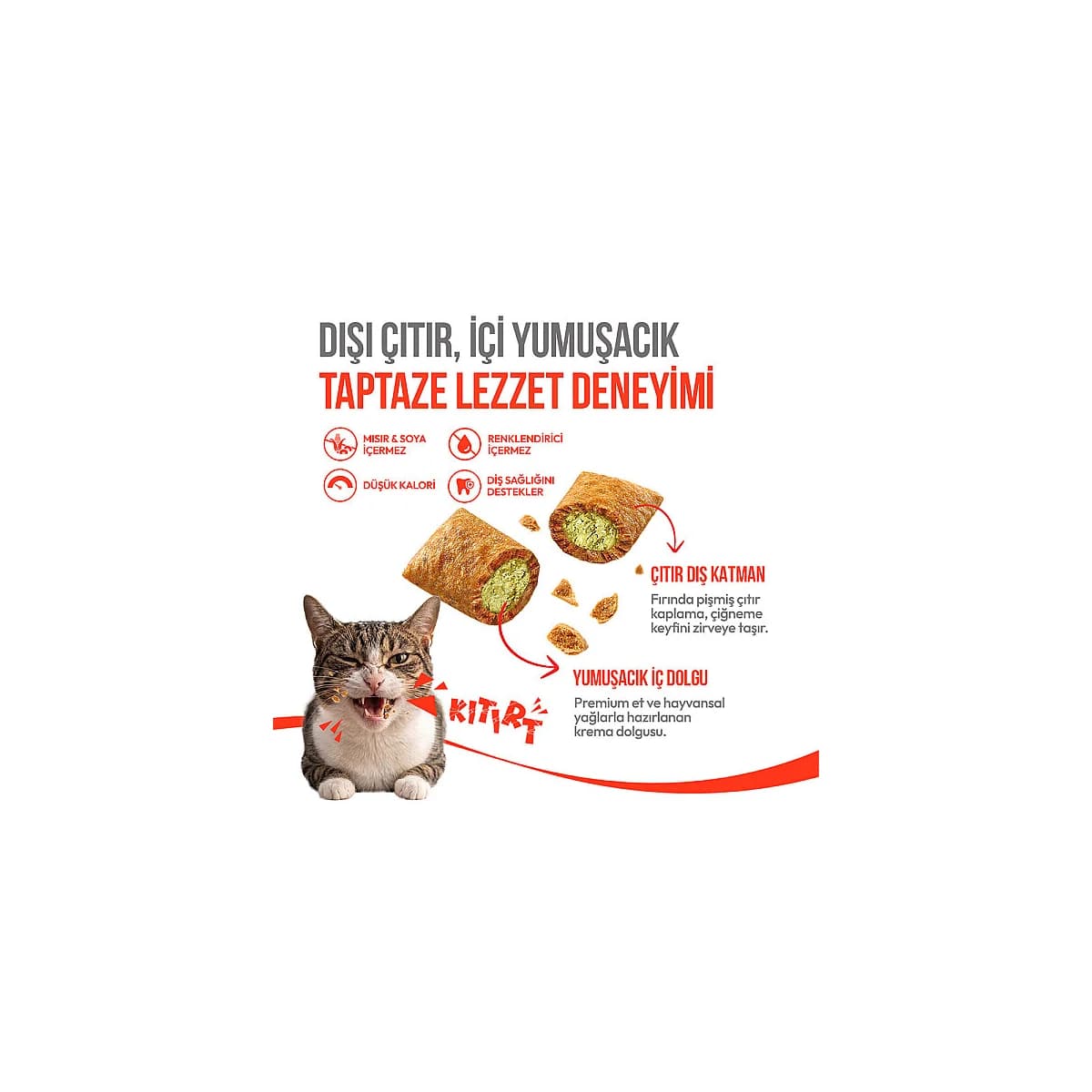 Wanpy Kedi Crunch Ödül Catnipli & Tavuklu 60g 2 · PELAGOS KATALOĞU · pelagos