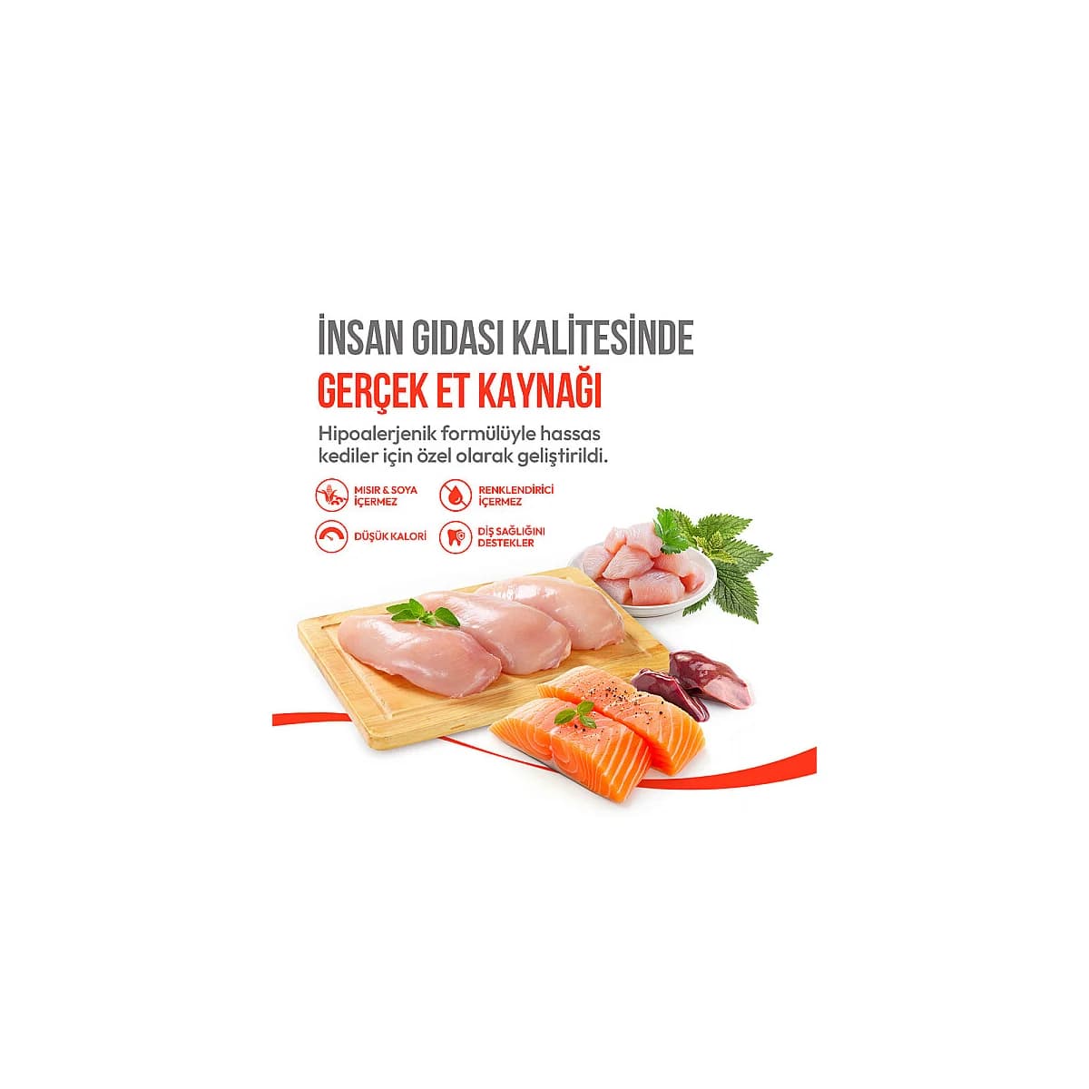 Wanpy Kedi Crunch Ödül Catnipli & Tavuklu 60g 3 · PELAGOS KATALOĞU · pelagos